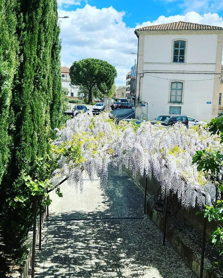 Maison Douce Arles Bed & Breakfast